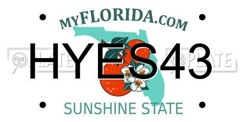 HYES43 Florida License Plate