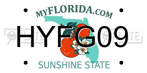 HYFG09 Florida License Plate
