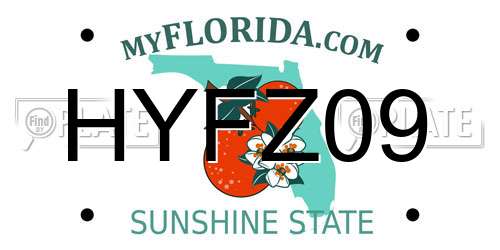 HYFZ09 Florida License Plate