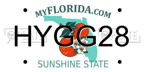 HYGG28 Florida License Plate