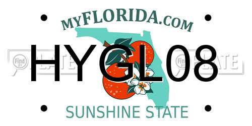 HYGL08 Florida License Plate