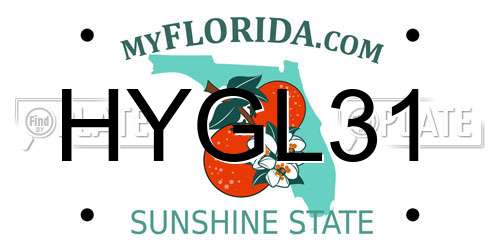 HYGL31 Florida License Plate
