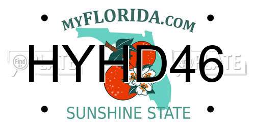 HYHD46 Florida License Plate