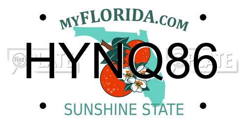 HYNQ86 Florida License Plate