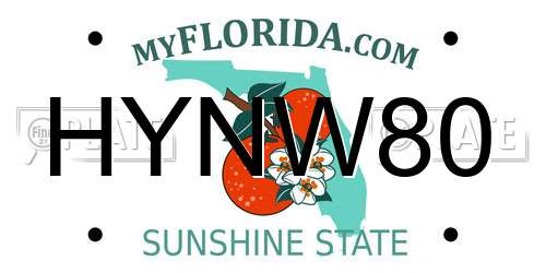 HYNW80 Florida License Plate