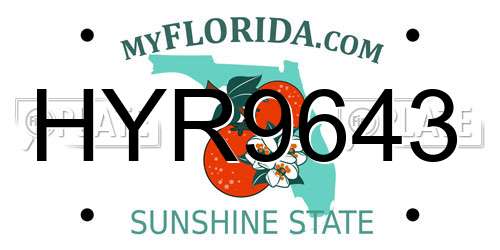 HYR9643 Florida License Plate