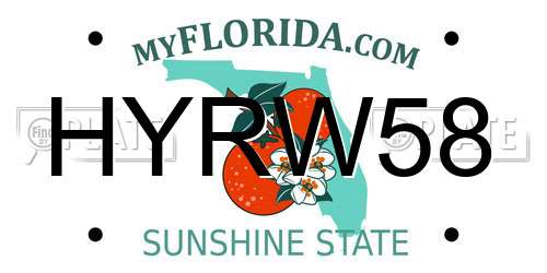 HYRW58 Florida License Plate