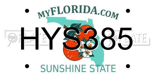 HYS385 Florida License Plate