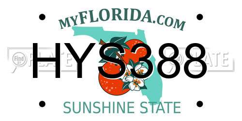 HYS388 Florida License Plate