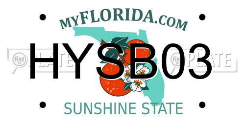 HYSB03 Florida License Plate