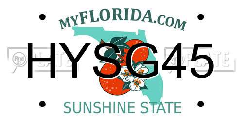 HYSG45 Florida License Plate
