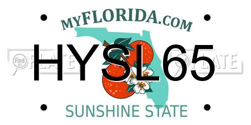 HYSL65 Florida License Plate