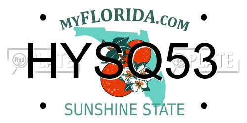 HYSQ53 Florida License Plate