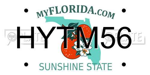 HYTM56 Florida License Plate