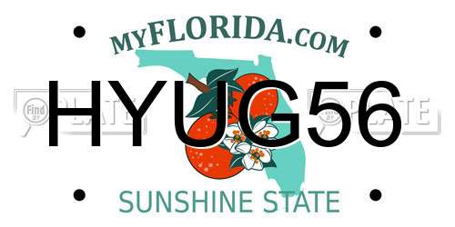 HYUG56 Florida License Plate