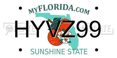 HYVZ99 Florida License Plate