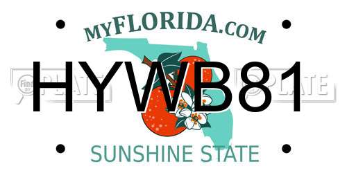 HYWB81 Florida License Plate