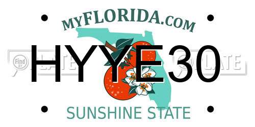 HYYE30 Florida License Plate
