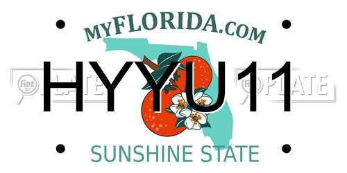 HYYU11 Florida License Plate