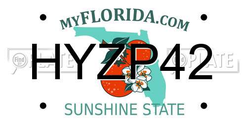 HYZP42 Florida License Plate