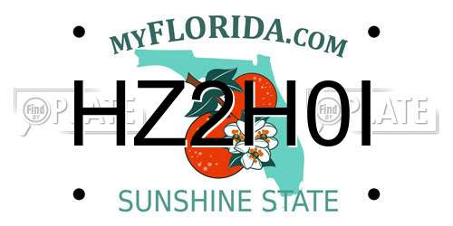 HZ2H0I Florida License Plate