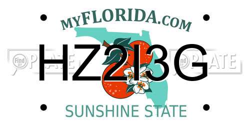 HZ2I3G Florida License Plate