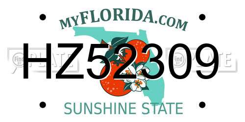 HZ52309 Florida License Plate