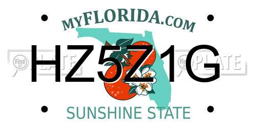 HZ5Z1G Florida License Plate