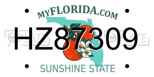 HZ87309 Florida License Plate