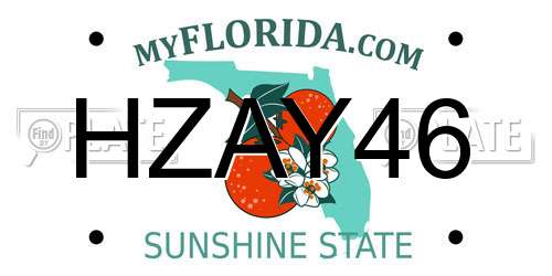 HZAY46 Florida License Plate