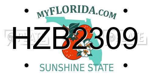 HZB2309 Florida License Plate