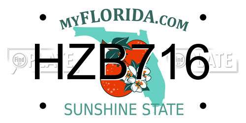 HZB716 Florida License Plate