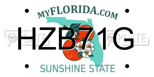 HZB71G Florida License Plate