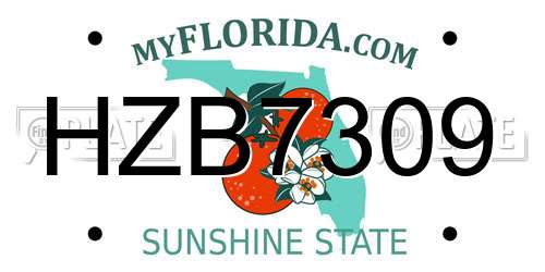 HZB7309 Florida License Plate