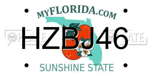 HZBJ46 Florida License Plate