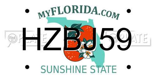 HZBJ59 Florida License Plate