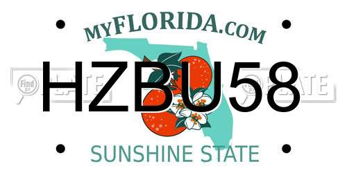 HZBU58 Florida License Plate