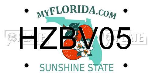 HZBV05 Florida License Plate