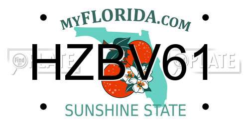 HZBV61 Florida License Plate