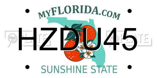 HZDU45 Florida License Plate