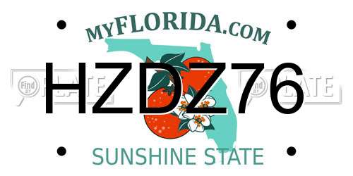 HZDZ76 Florida License Plate