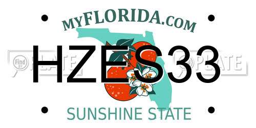 HZES33 Florida License Plate