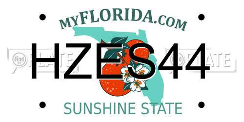 HZES44 Florida License Plate