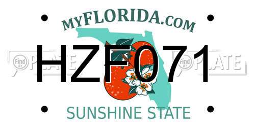 HZF071 Florida License Plate