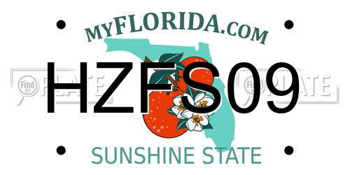 HZFS09 Florida License Plate