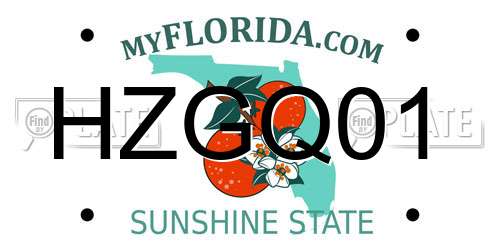 HZGQ01 Florida License Plate