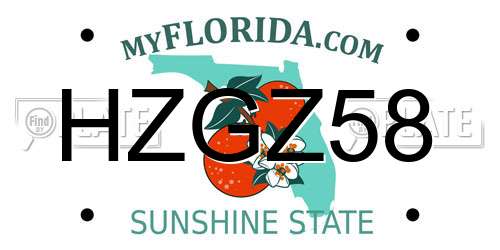 HZGZ58 Florida License Plate