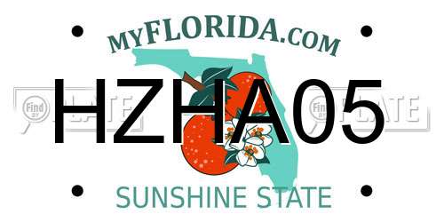 HZHA05 Florida License Plate