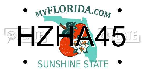 HZHA45 Florida License Plate