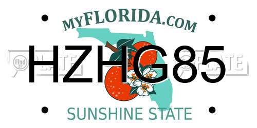HZHG85 Florida License Plate